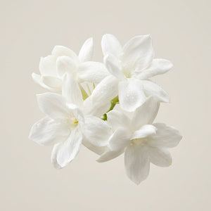 Jasmin