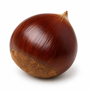 Kastanie