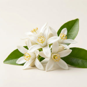 Neroli