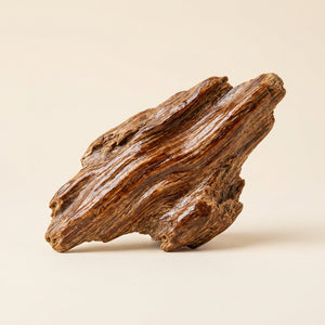 Oud
