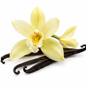 Vanilleorchidee